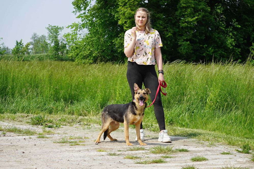 LOTTO - świetny pies szuka świetnego domu