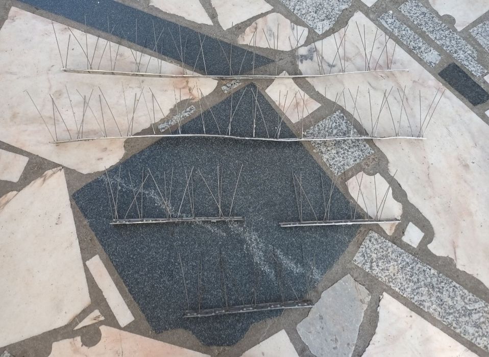 Espigoes anti pombos