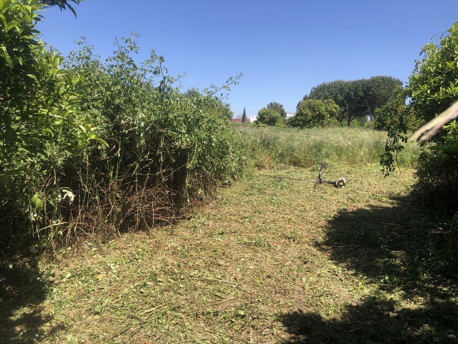 Serviços  de Escavações, Demolições e Limpezas de Terrenos