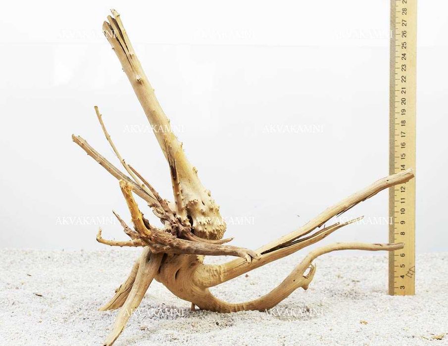 Корчі до акваріуму та тераріуму. Азалія, Ротанг, Коралове, Бонсаі.