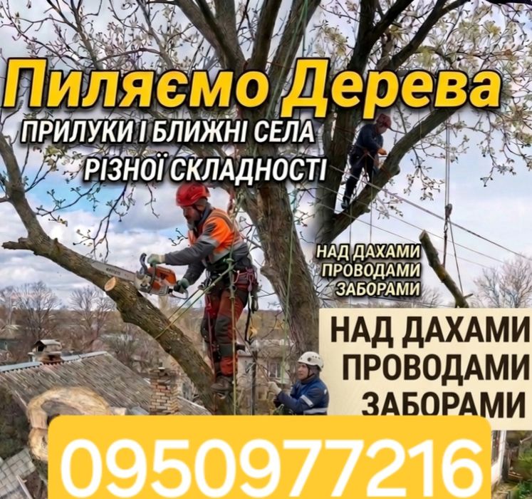 Пиляння дерев обрізка гілок Ваш Майстер
Ремонт Прилуки
0950977216