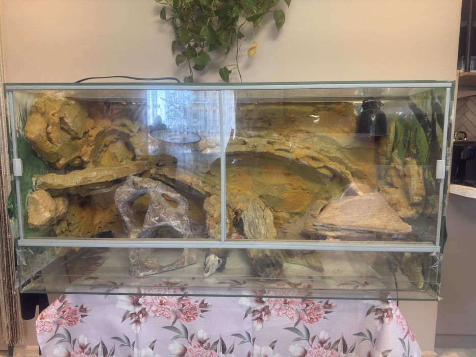 Terarium 100 x 40x 50