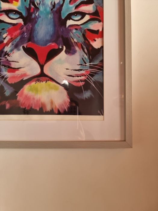 Quadro leão colorido