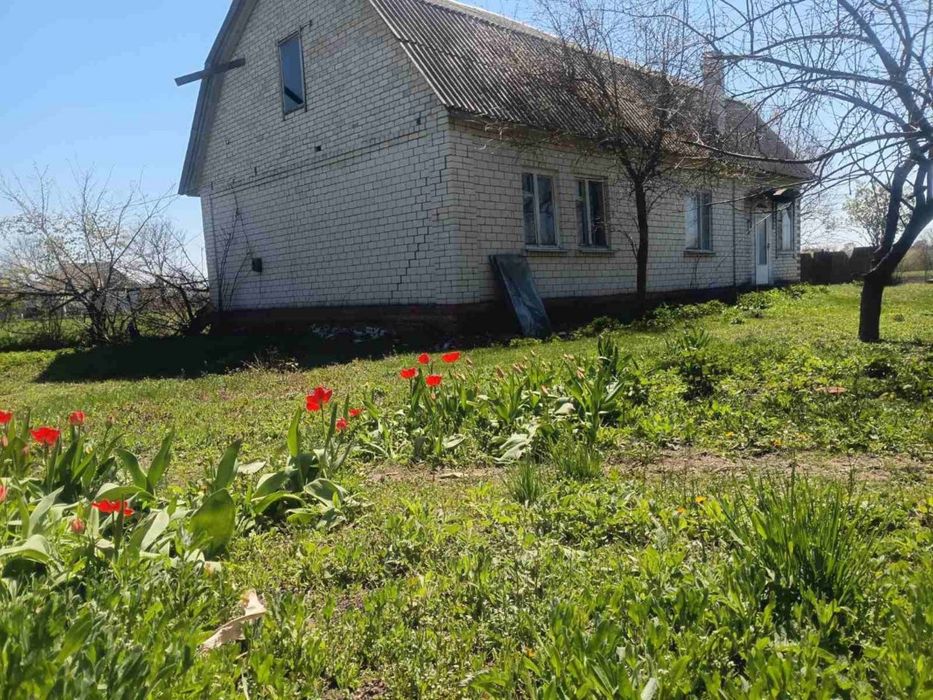 Продається будинок із земельною ділянкою. Прилуцький район, с. Гнідинці