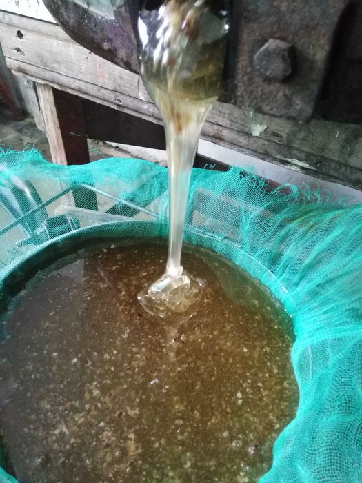 Продаём майский мёд, 200 гр. л.