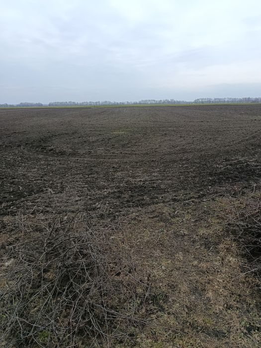 Продам земельну ділянку