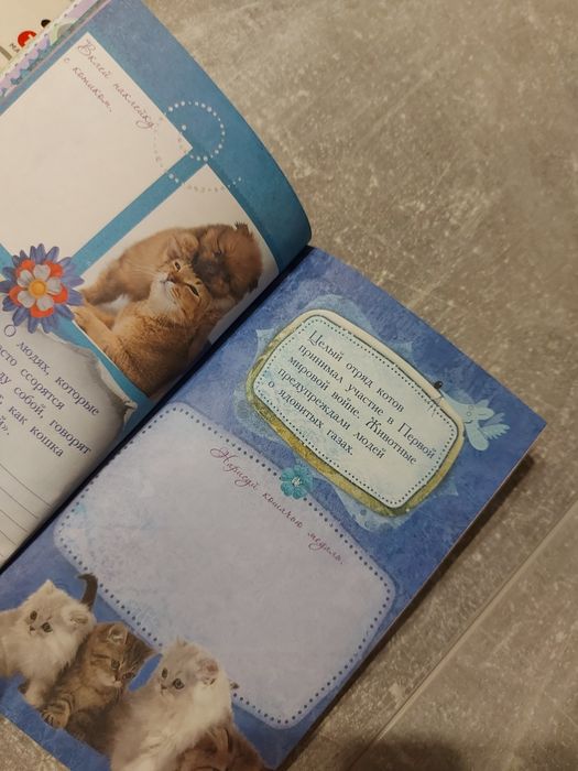 Котики набір котик  блокнот гребінець расческа