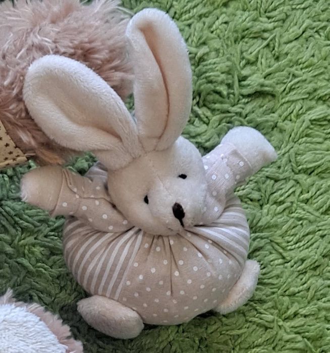 Various Teddy Bears429045735920117762