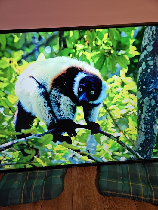 Tv sharp 65 cali 4k ultra hd.