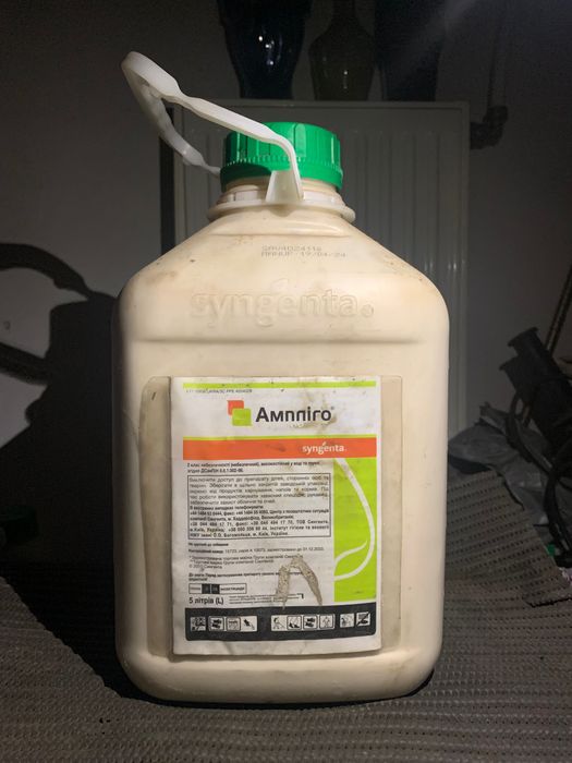 Ампліго і амістар