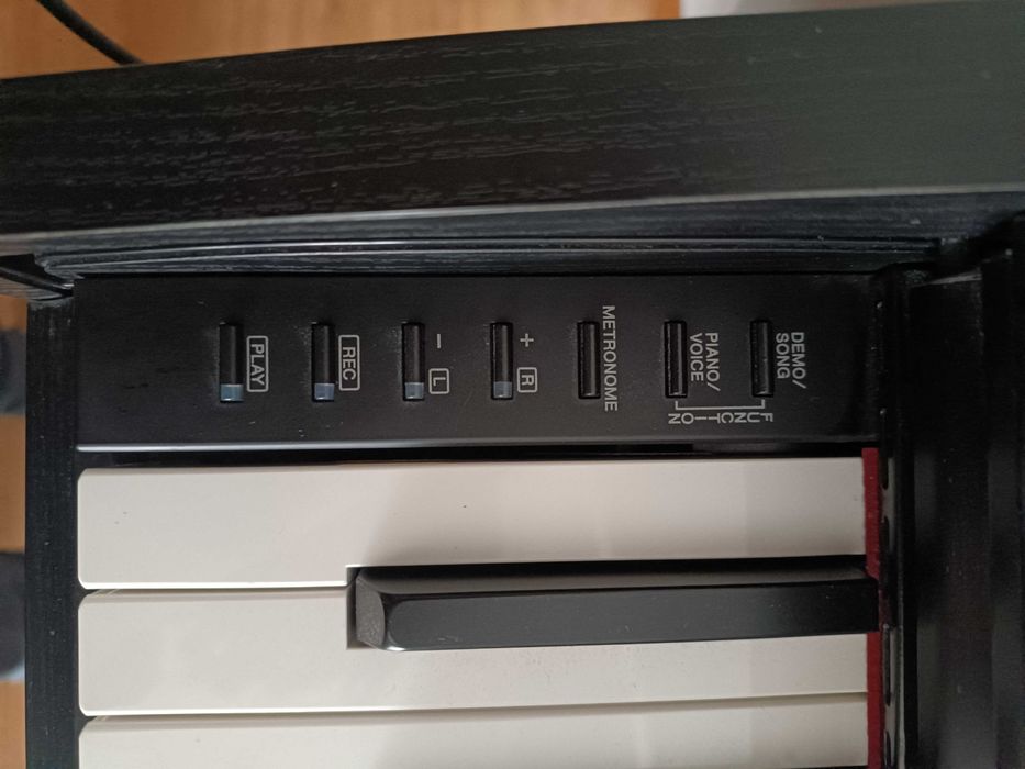 Conjunto de Piano Elétrico