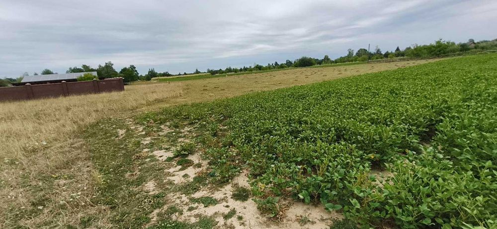 Продам ділянку 20 сот. під будівництво с.Багна Віжніцький район