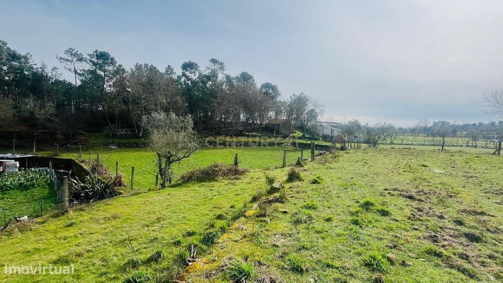 Encantador Terreno Rústico em Viseu com Poço