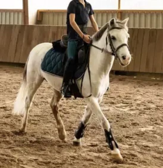 Подростковые конные бриджи штаны Fouganza лосины для верховой езды