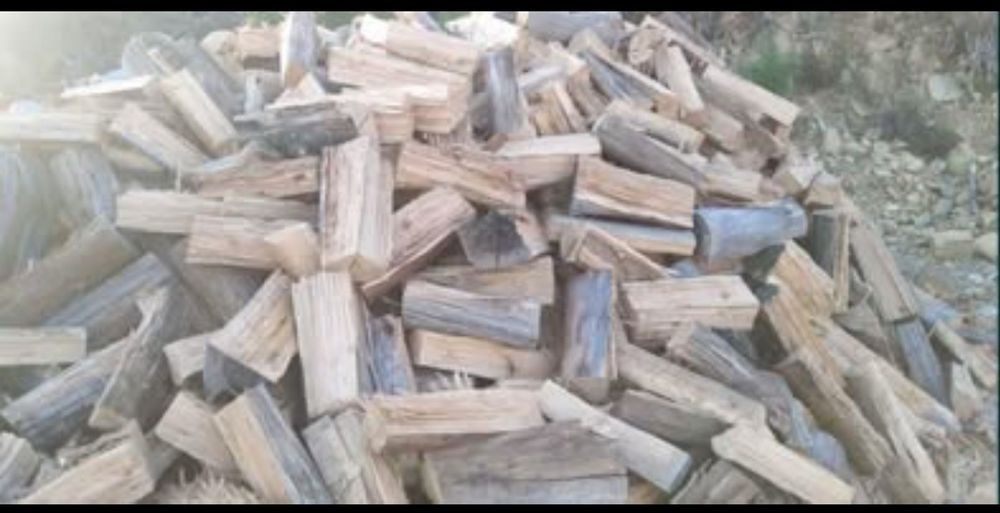 Lenha de eucalipto seca