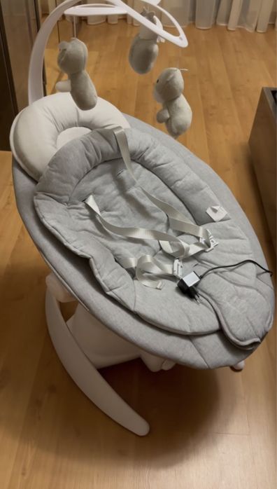 Заколисуючий центр Carrello