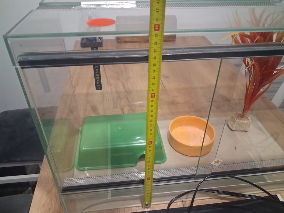 Terarium dla gadów