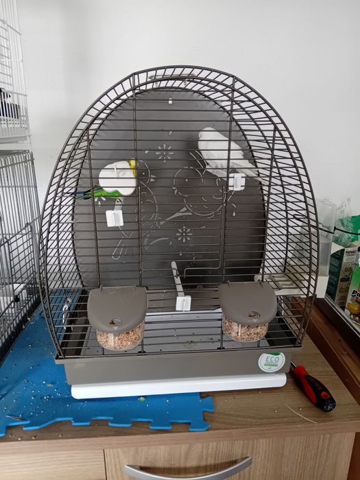 Gaiola para passaros