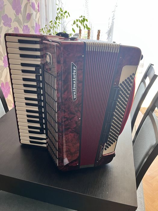 Akordeon weltmeister . Musette