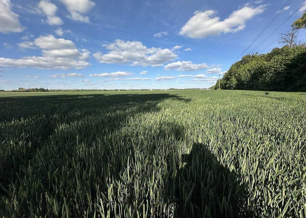 Продаж ділянки комерційного призначення в Якушинцях