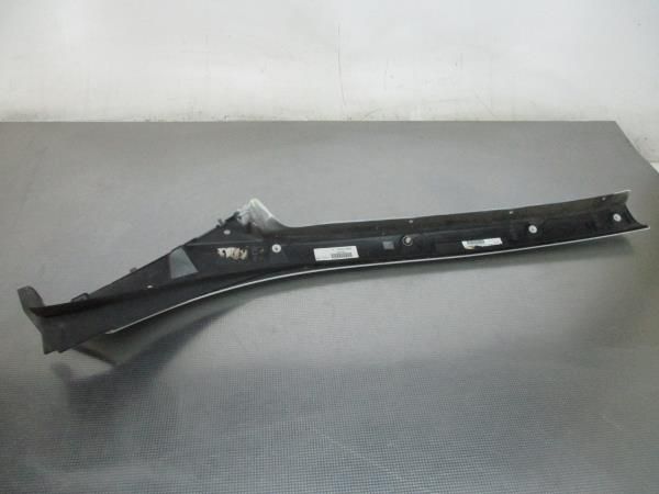 Friso / Frisos RENAULT Scénic III (JZ0/1_)