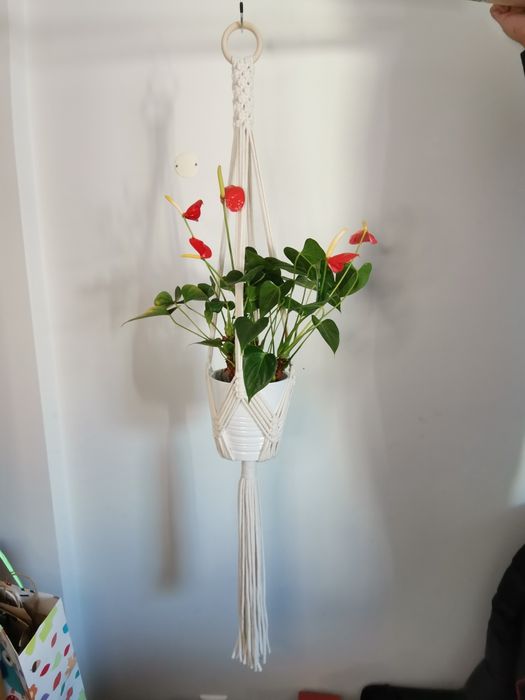 Suporte para plantas em macrame