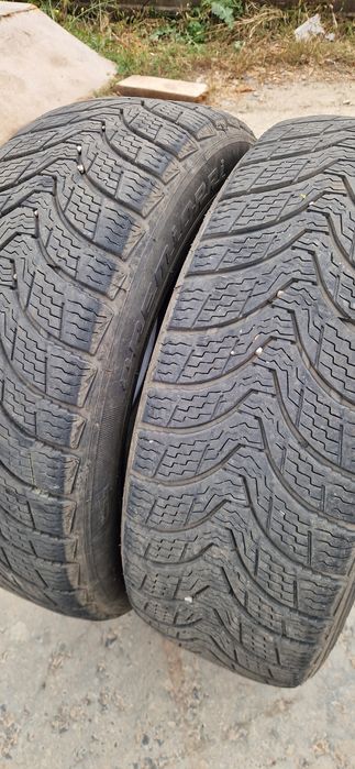 Продам зимнюю резину premiori