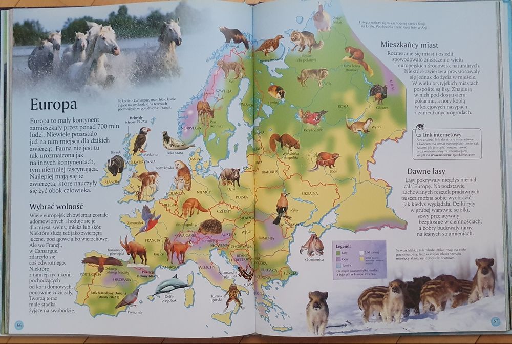 Zwierzęta świata. Davidson i Unwin.