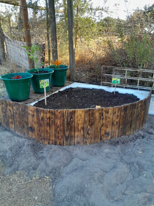 Realizo trabalhos de jardinagem e limpeza de terrenos