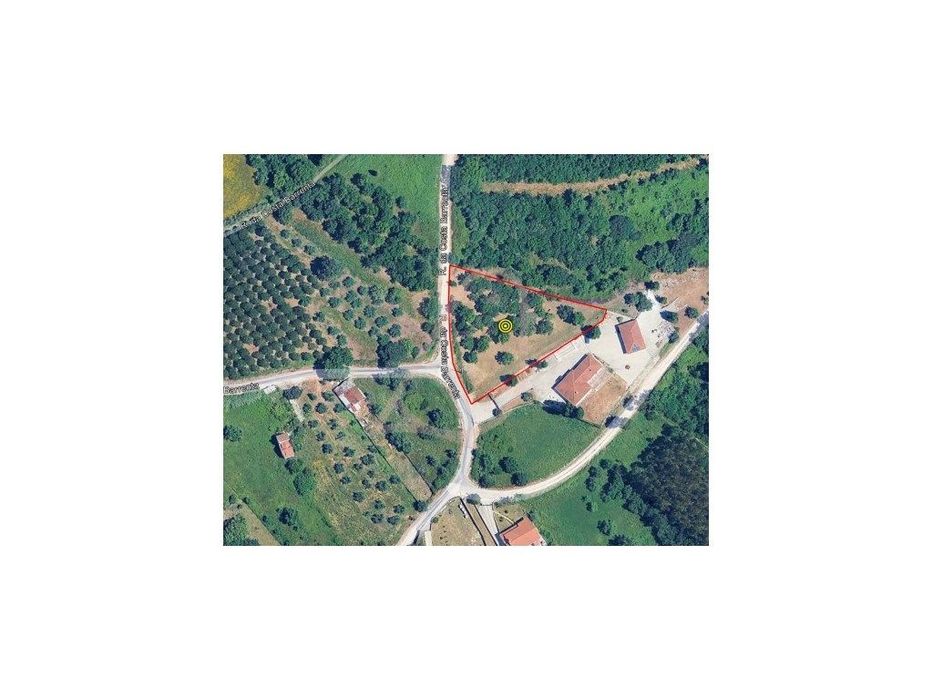Terreno para Construção / Área Total 2900m2 / Albergaria