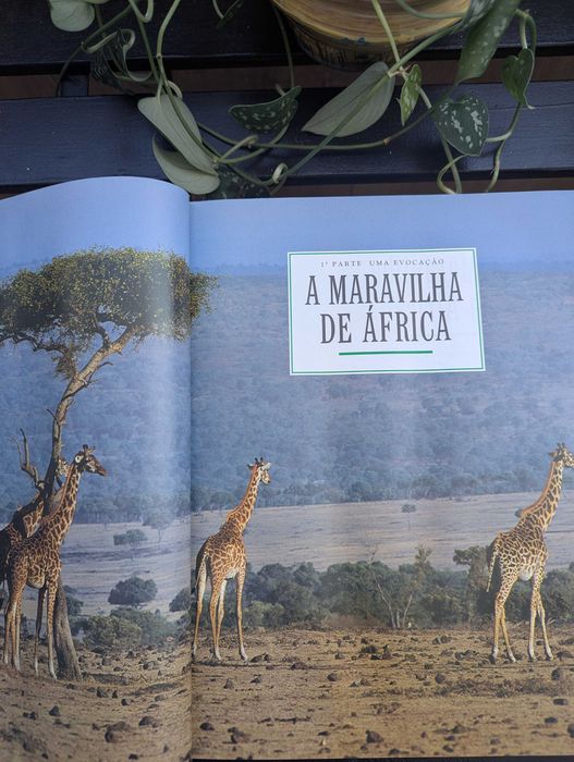 "Sob o Sol de África" - Selecções do Reader's Digest