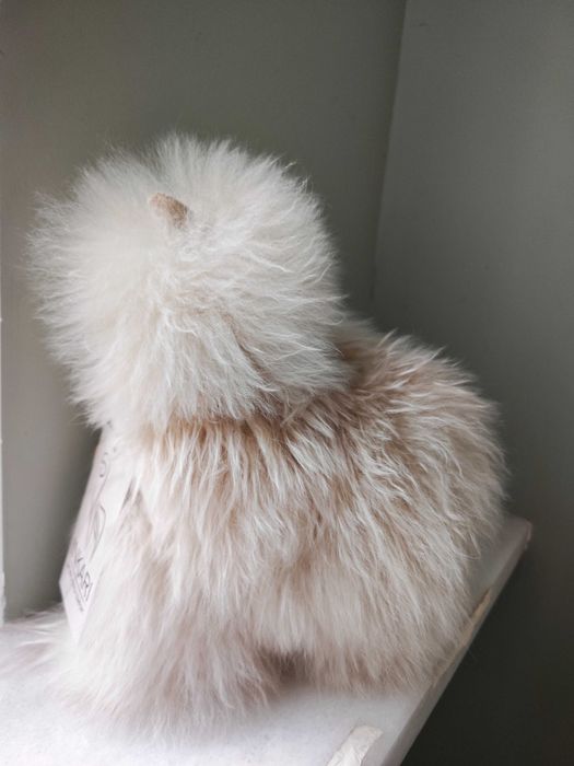 Alpaka Inkari monster fluff blonde small 23cm nowa