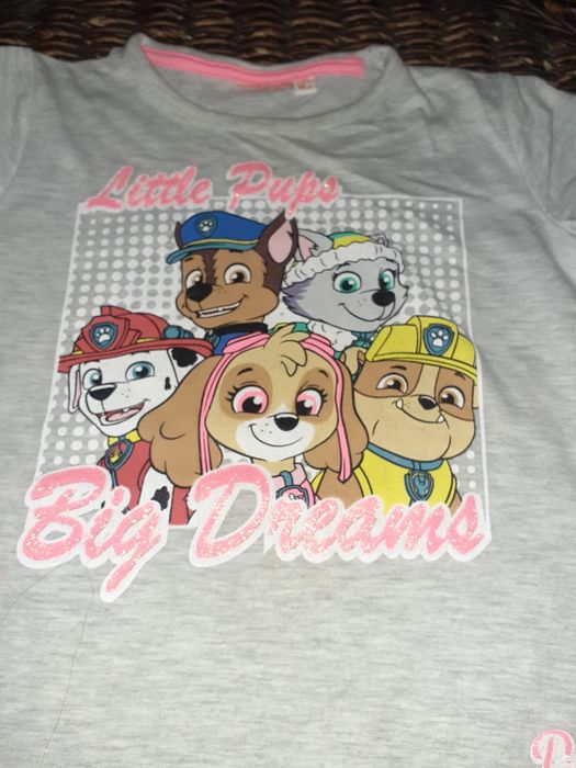 T-shirts varias minnie/unicórnio/ patrulha pata