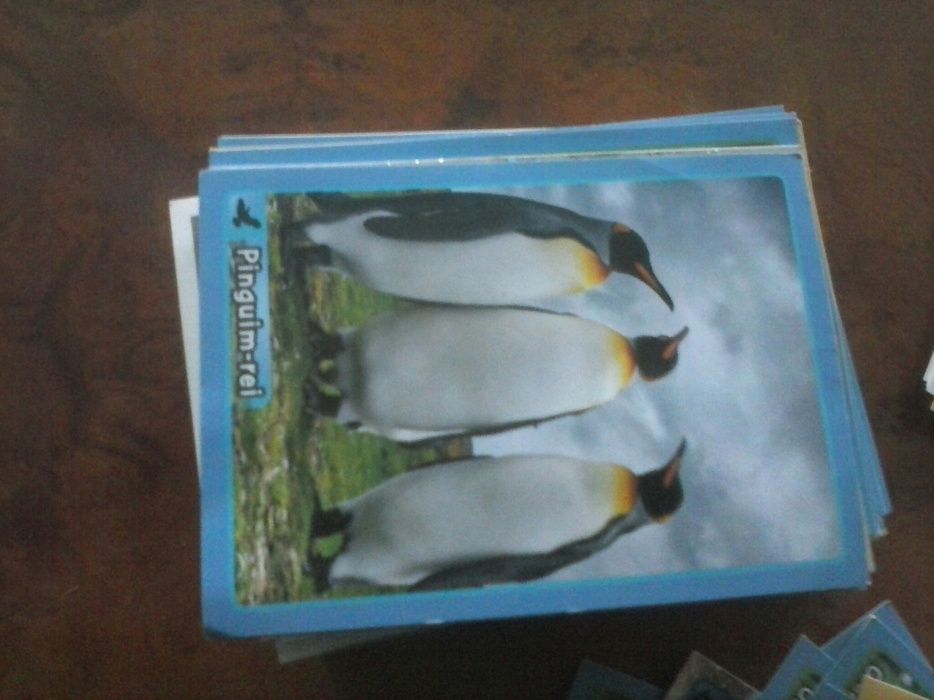 Cromos