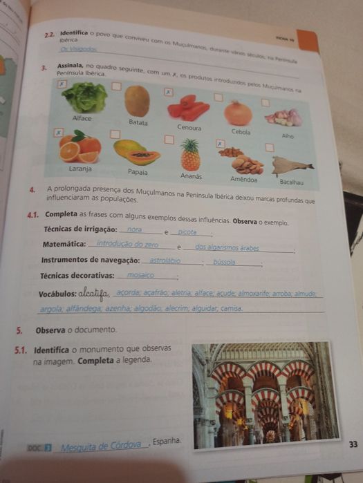 CA do professor 5 ano