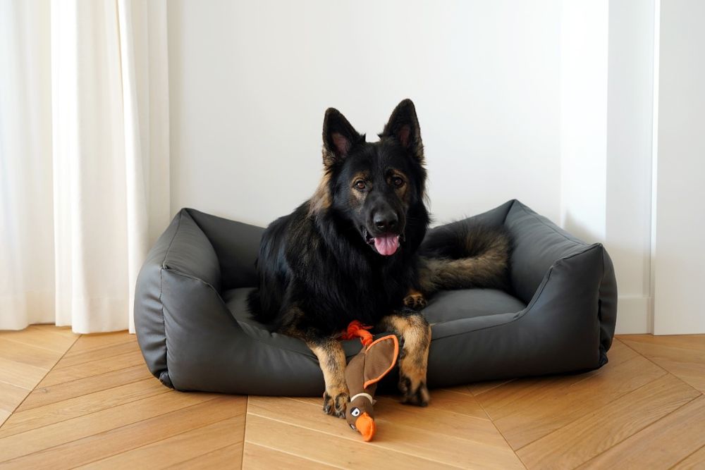 Legowisko dla psa z eko skóry MARIO (100x70 cm, Grafit)