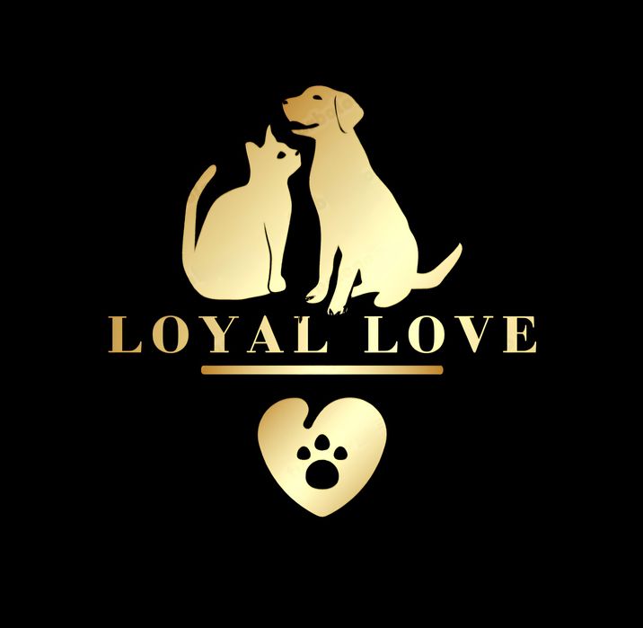 Шотландська дівчинка