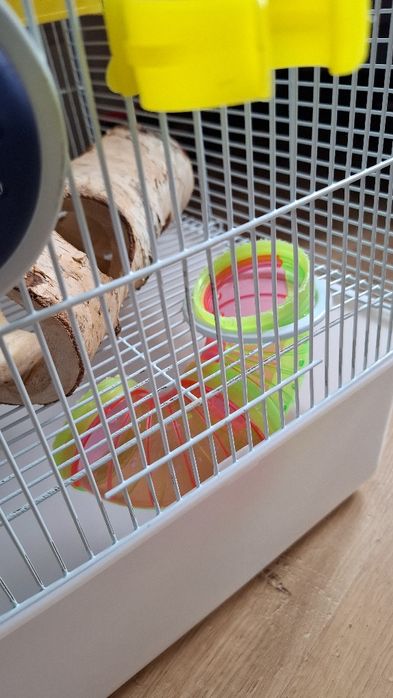 Klatka z wyposażeniem