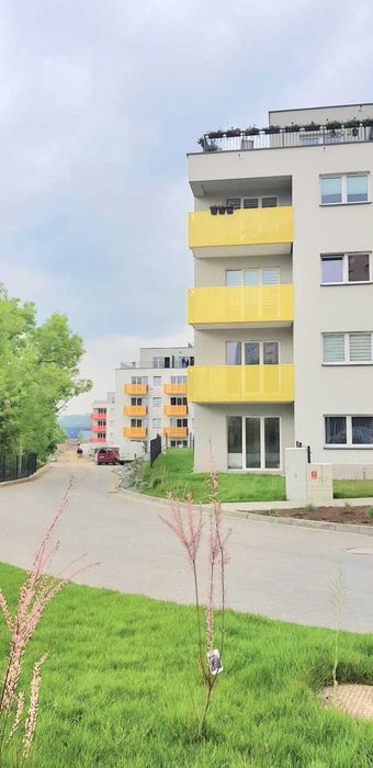 Zdjęcie 8