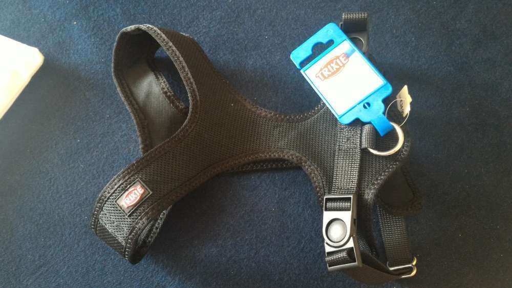 Arnês para cão de porte pequeno rigorosamente em estado novo