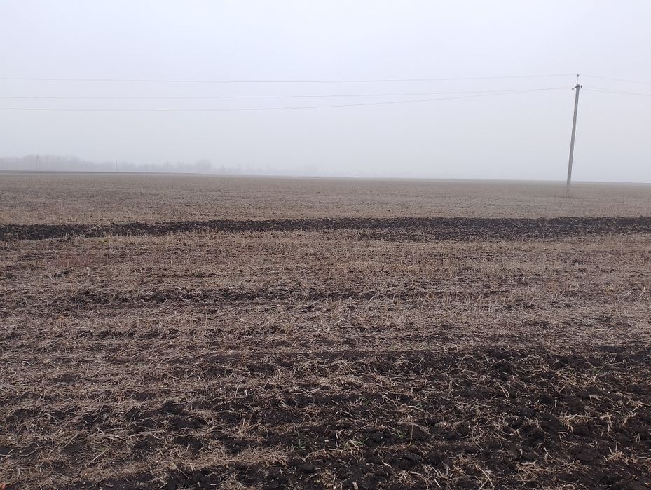 Земельна ділянка.Пай.