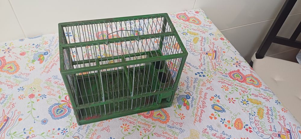 Gaiola aves silvestres