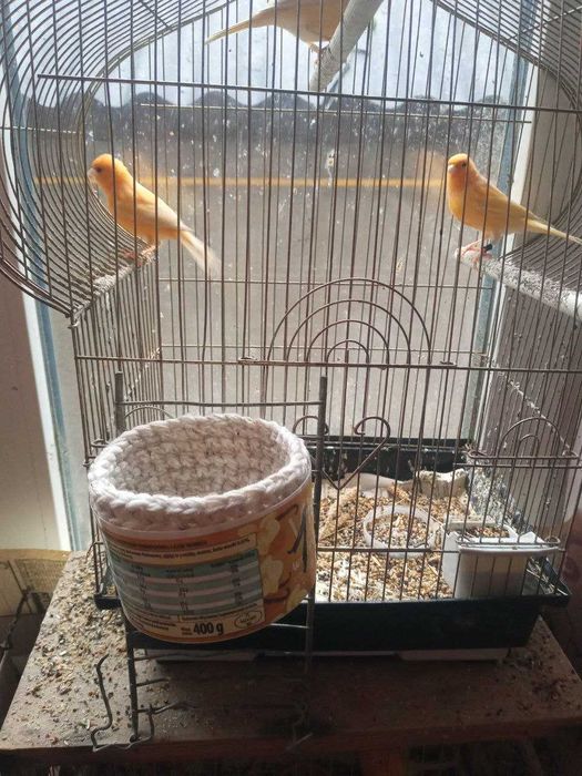 Гнёзда для канареек и попугаев