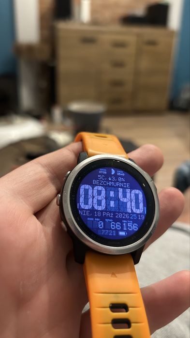 Smartwatch Garmin fenix 6s
