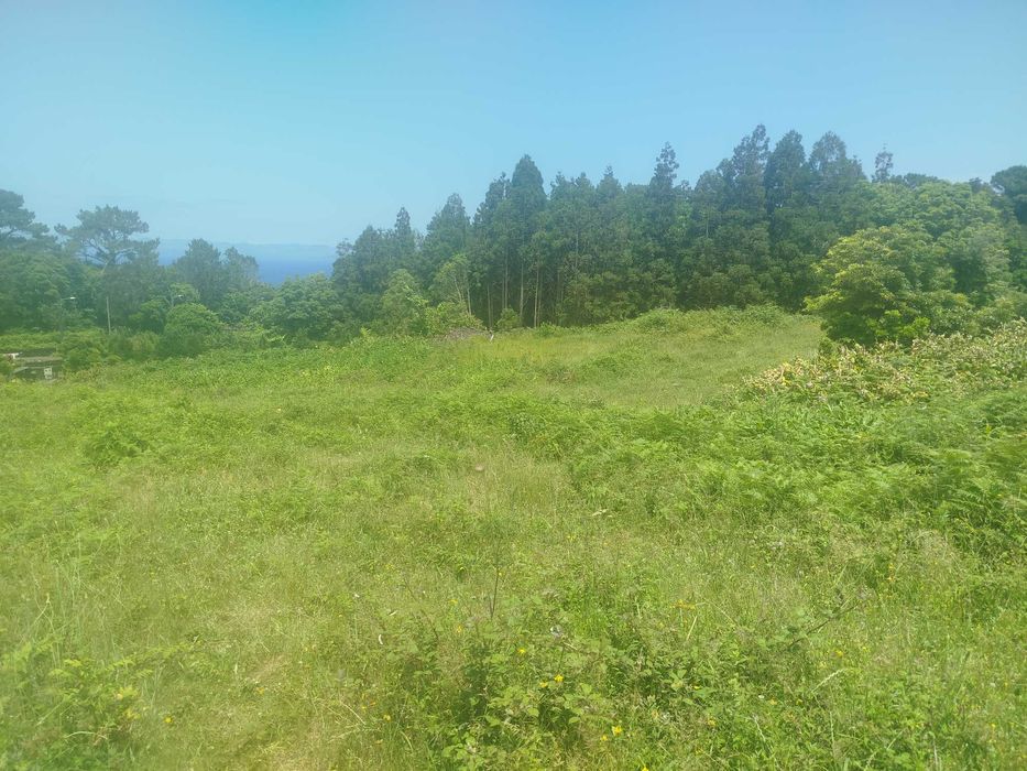 Terreno Pinheira - Rua da Bragada - Santo António