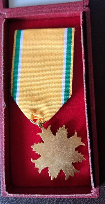 Medal za ZASŁUGI dla LOPP- stopień  zloty - II RP