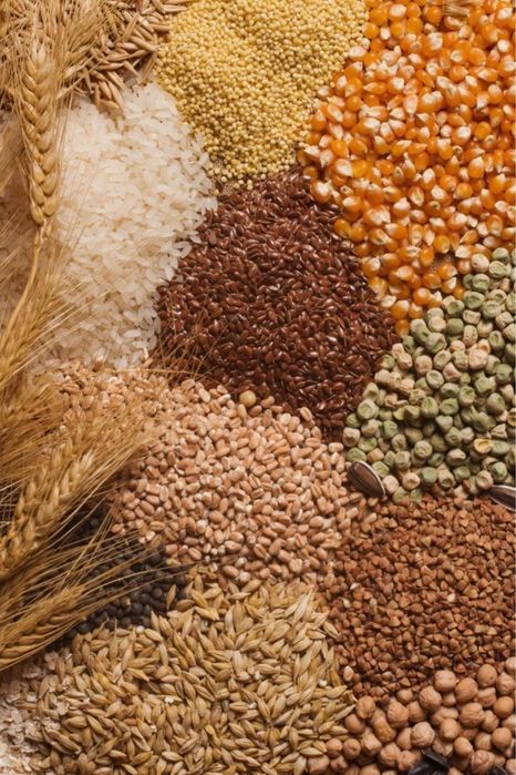 Продам ячмінь та кукурудзу