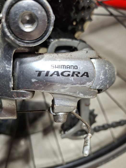 Rower Kolarzówka Szosa specjalized secteur sport