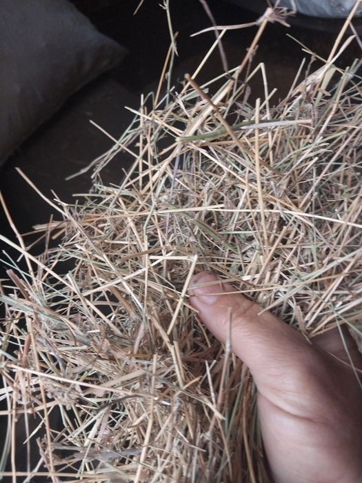 Продам сено в мешках