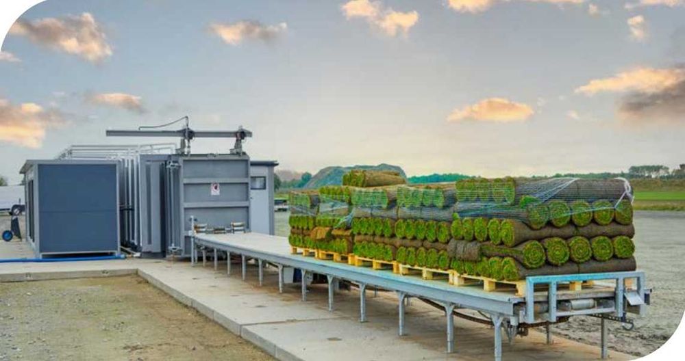 Trawa rozwijana z rolki / Trawnik z rolki